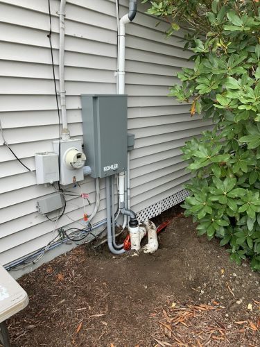 Best home generators -gallery (5)